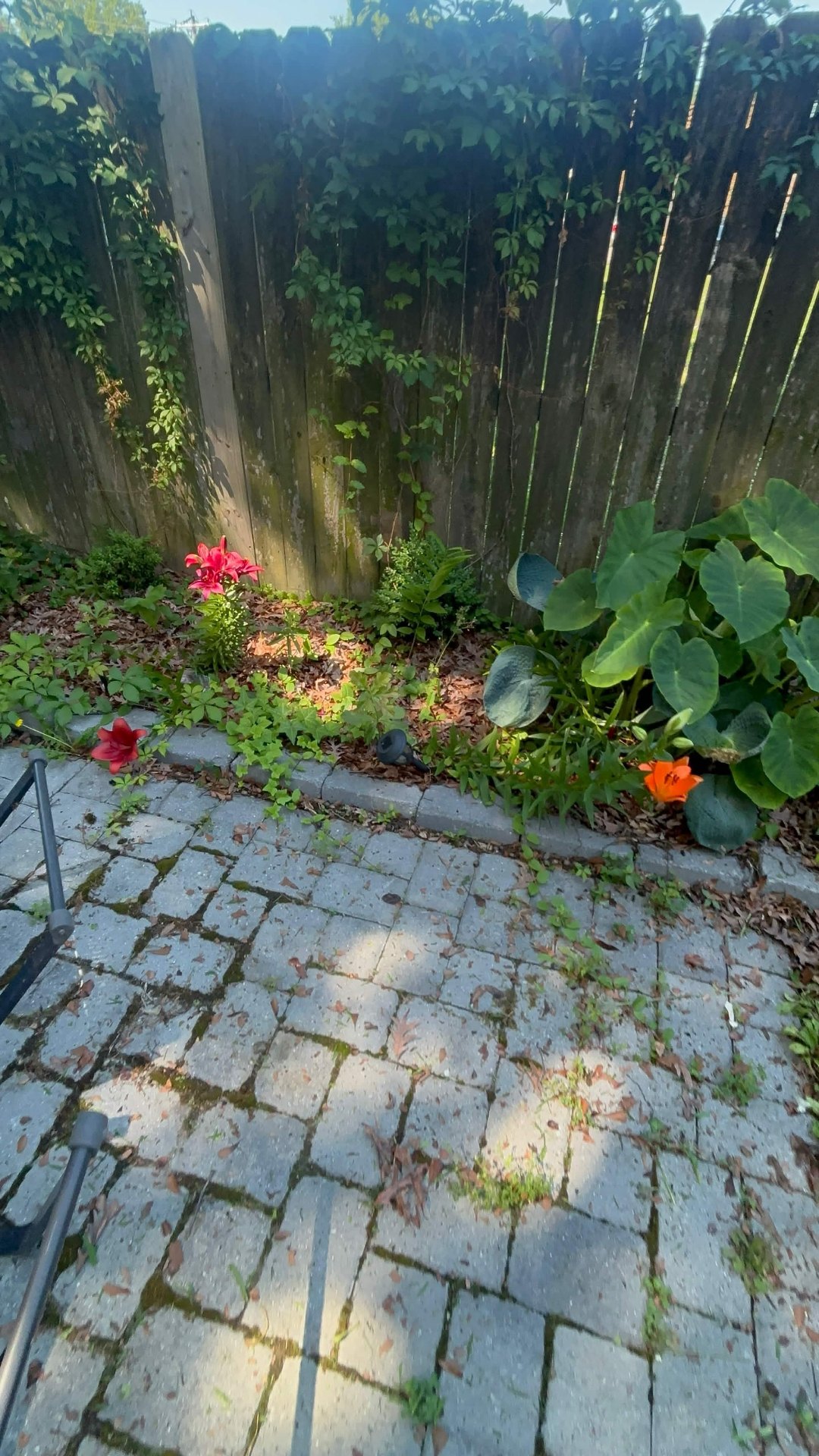Mulch, Rock & Planting