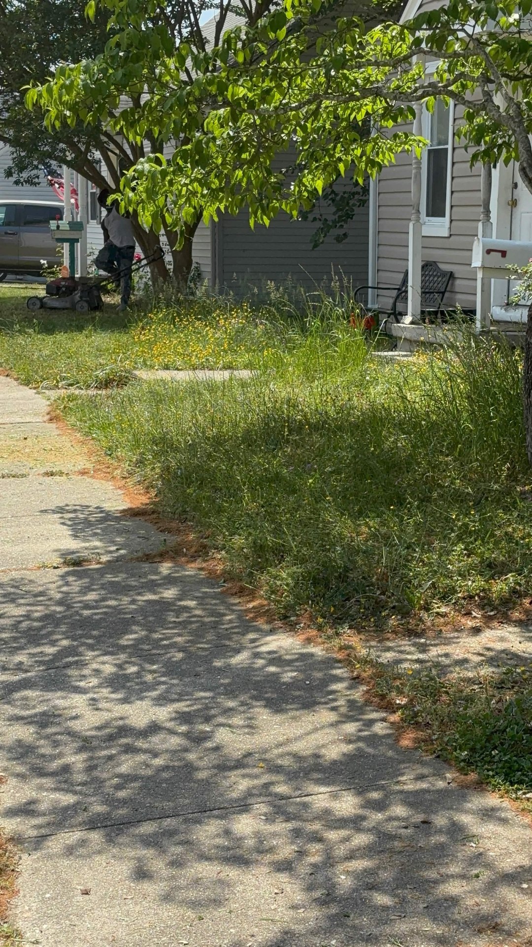 Overgrown lawn being mowed by Clear Path VA crew