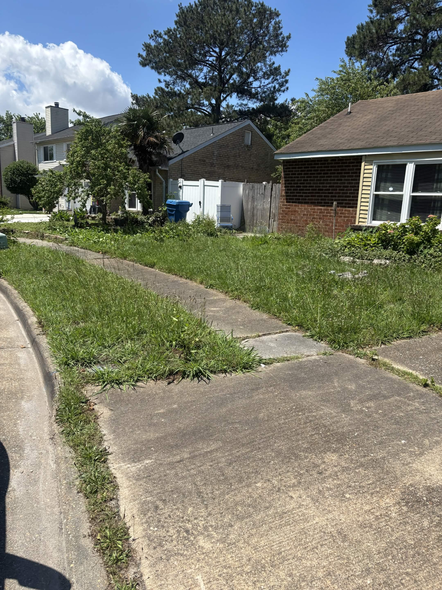 Yard before landscaping cleanup with tall weeds