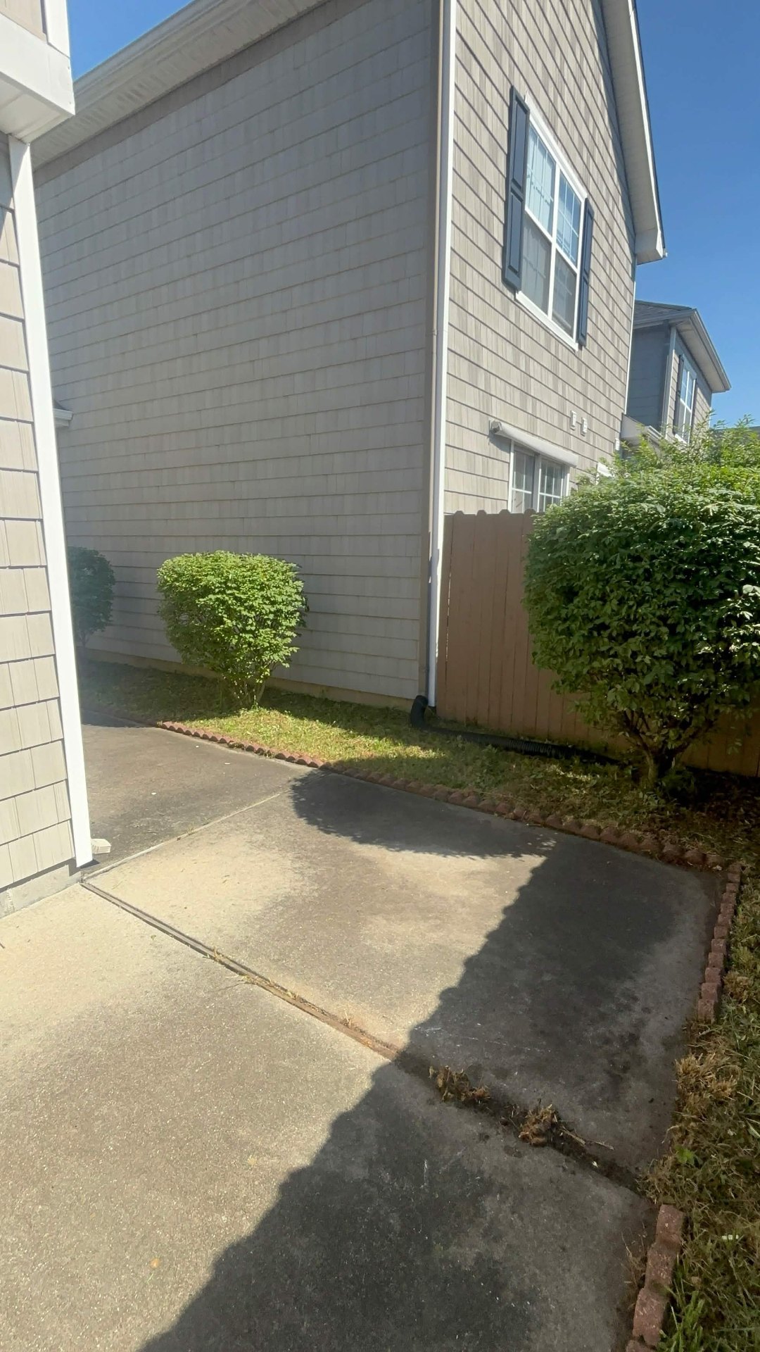 Shrub & Hedge Trimming