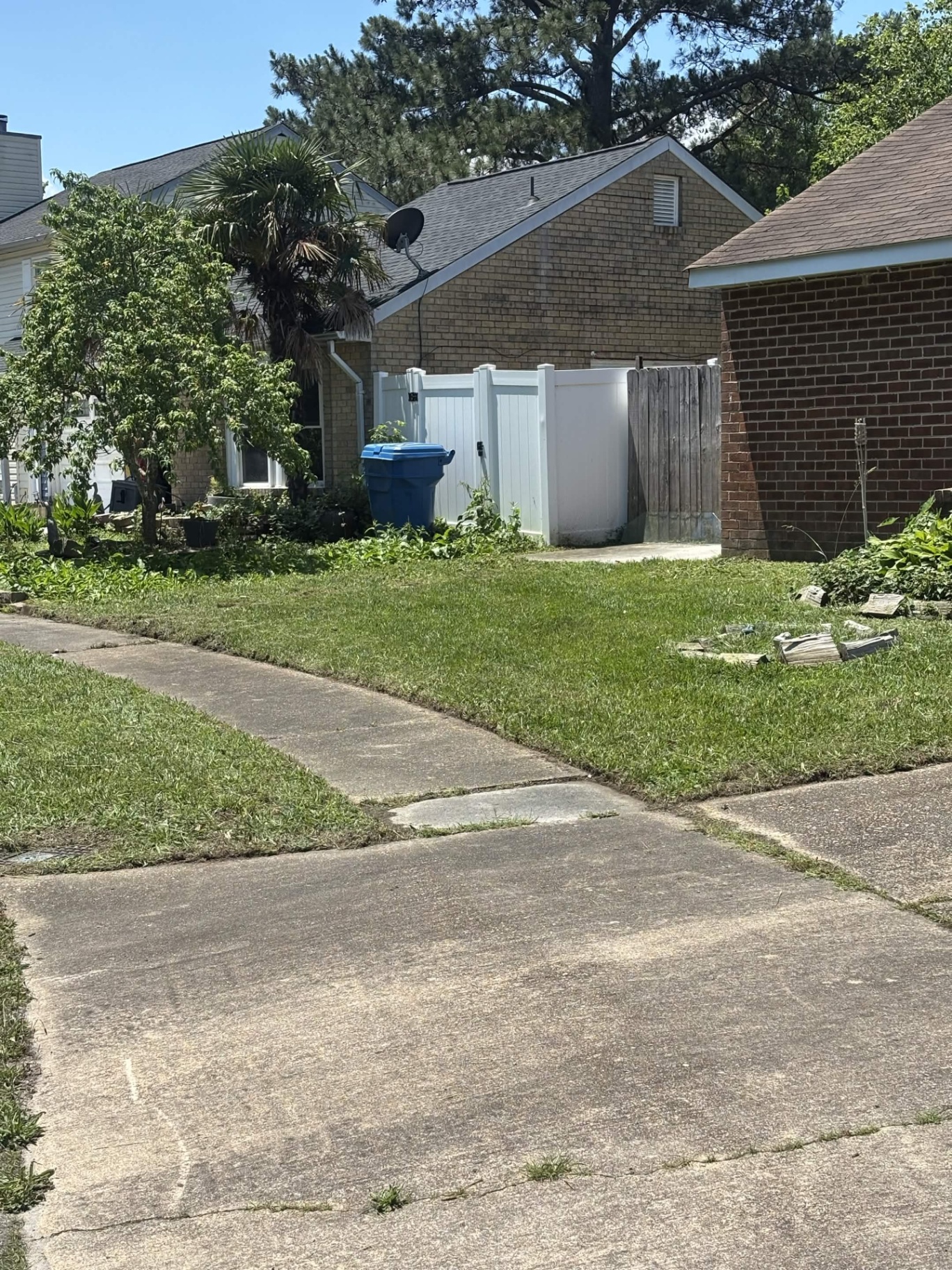 Front yard with freshly mowed lawn along sidewalk in Virginia Beach
