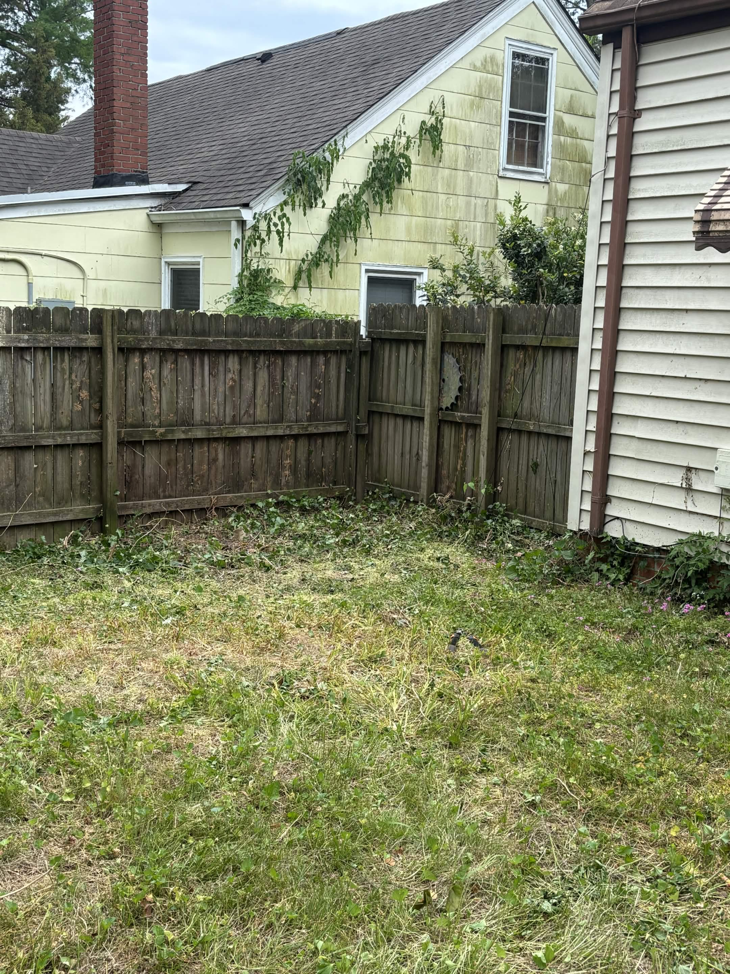 Backyard cleared of debris and vines along fence line